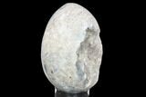 Crystal Filled, Celestine (Celestite) Egg - Madagascar #126538-1